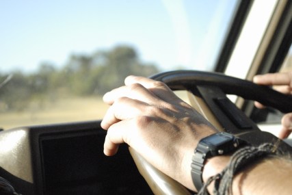 Pinnacles Desert (96)